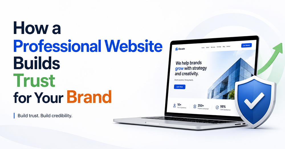 professional website